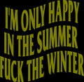 Funny Dirty Heads Lyrics Vinyl Decal: Beach Lover Gift